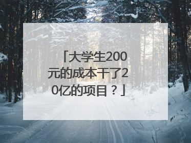 大学生200元的成本干了20亿的项目？