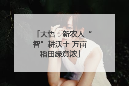 大悟：新农人“智”耕沃土 万亩稻田绿意浓
