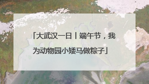 大武汉一日丨端午节，我为动物园小矮马做粽子