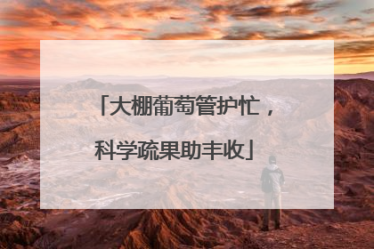 大棚葡萄管护忙，科学疏果助丰收
