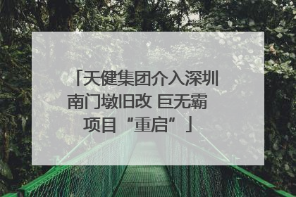 天健集团介入深圳南门墩旧改 巨无霸项目“重启”