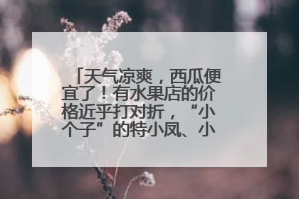 天气凉爽，西瓜便宜了！有水果店的价格近乎打对折，“小个子”的特小凤、小糖丸更好卖