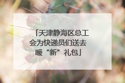 天津静海区总工会为快递员们送去暖“新”礼包