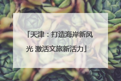 天津：打造海岸新风光 激活文旅新活力