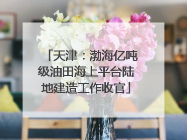 天津：渤海亿吨级油田海上平台陆地建造工作收官