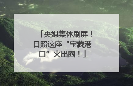 央媒集体刷屏！日照这座“宝藏港口”火出圈！
