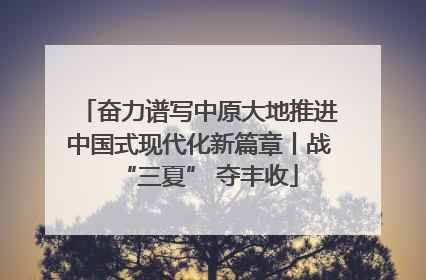 奋力谱写中原大地推进中国式现代化新篇章丨战“三夏” 夺丰收