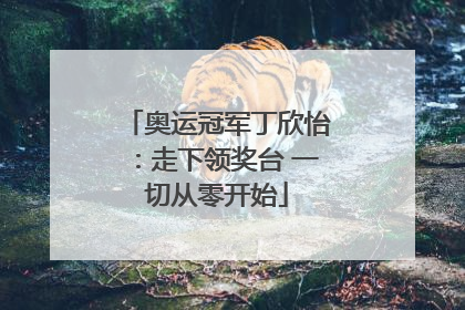 奥运冠军丁欣怡：走下领奖台 一切从零开始