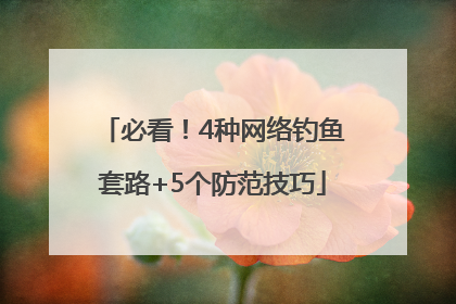 必看！4种网络钓鱼套路+5个防范技巧