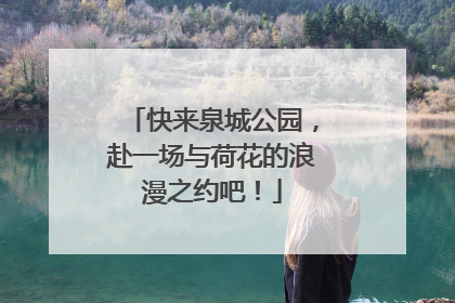 快来泉城公园，赴一场与荷花的浪漫之约吧！