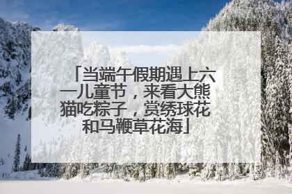 当端午假期遇上六一儿童节，来看大熊猫吃粽子，赏绣球花和马鞭草花海