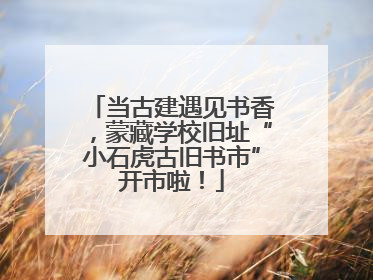 当古建遇见书香，蒙藏学校旧址“小石虎古旧书市”开市啦！