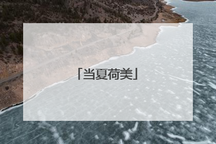 当夏荷美