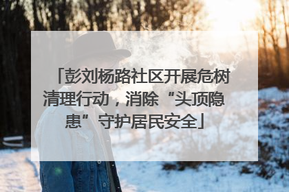 彭刘杨路社区开展危树清理行动，消除“头顶隐患”守护居民安全