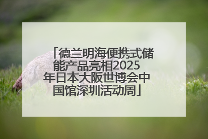 德兰明海便携式储能产品亮相2025年日本大阪世博会中国馆深圳活动周