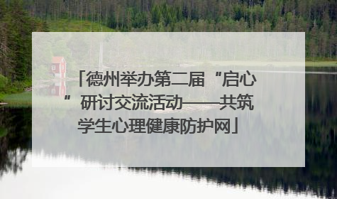 德州举办第二届“启心”研讨交流活动——共筑学生心理健康防护网