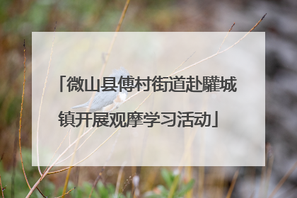 微山县傅村街道赴驩城镇开展观摩学习活动