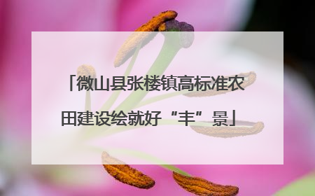 微山县张楼镇高标准农田建设绘就好“丰”景