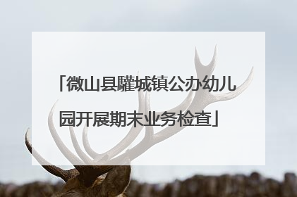 微山县驩城镇公办幼儿园开展期末业务检查