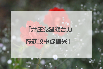 尹庄党建凝合力 联建议事促振兴