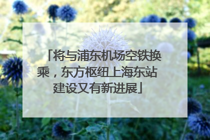 将与浦东机场空铁换乘，东方枢纽上海东站建设又有新进展