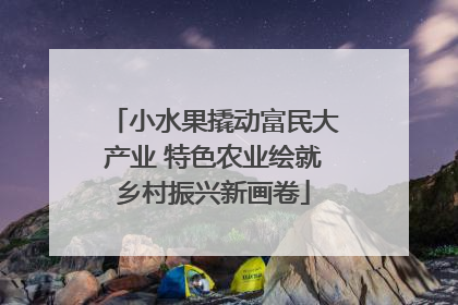小水果撬动富民大产业 特色农业绘就乡村振兴新画卷
