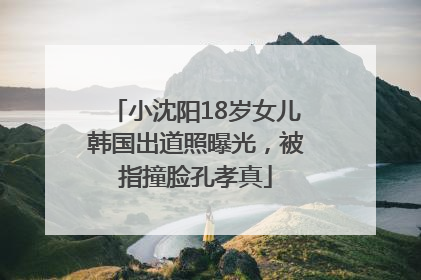 小沈阳18岁女儿韩国出道照曝光，被指撞脸孔孝真