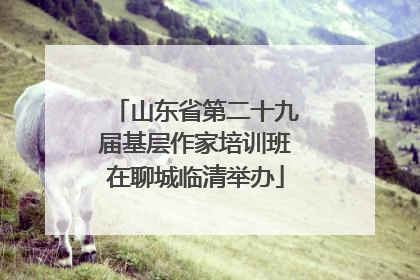 山东省第二十九届基层作家培训班在聊城临清举办