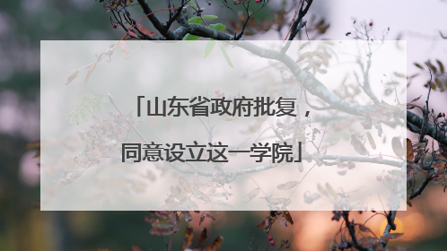 山东省政府批复，同意设立这一学院