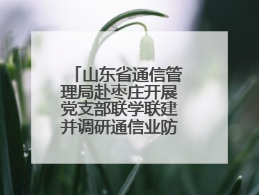 山东省通信管理局赴枣庄开展党支部联学联建并调研通信业防汛准备工作