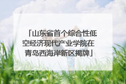 山东省首个综合性低空经济现代产业学院在青岛西海岸新区揭牌