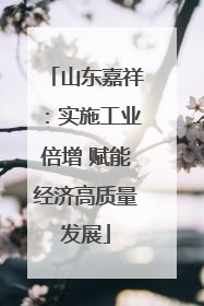 山东嘉祥：实施工业倍增 赋能经济高质量发展