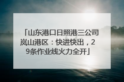 山东港口日照港三公司岚山港区：快进快出，29条作业线火力全开
