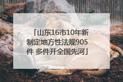 山东16市10年新制定地方性法规905件 多件开全国先河