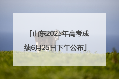山东2025年高考成绩6月25日下午公布