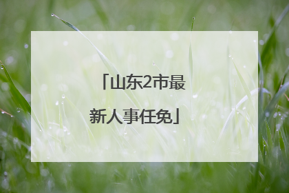 山东2市最新人事任免