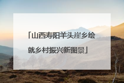 山西寿阳羊头崖乡绘就乡村振兴新图景