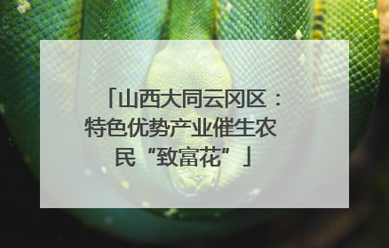 山西大同云冈区：特色优势产业催生农民“致富花”