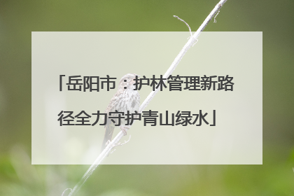 岳阳市：护林管理新路径全力守护青山绿水