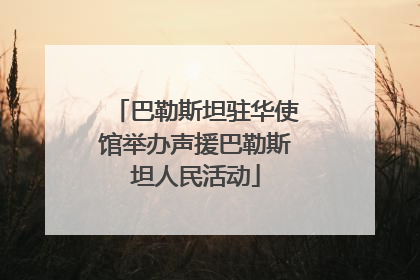 巴勒斯坦驻华使馆举办声援巴勒斯坦人民活动