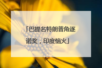 巴提名特朗普角逐诺奖，印度恼火