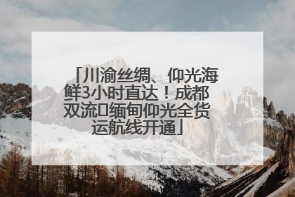 川渝丝绸、仰光海鲜3小时直达！成都双流⇌缅甸仰光全货运航线开通