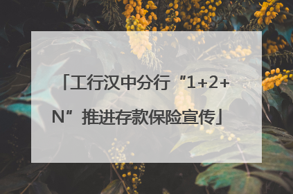 工行汉中分行“1+2+N”推进存款保险宣传