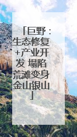 巨野：生态修复+产业开发 塌陷荒滩变身金山银山