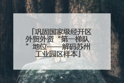 巩固国家级经开区外贸外资“第一梯队”地位——解码苏州工业园区样本