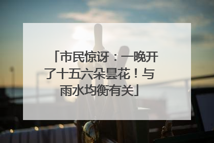 市民惊讶：一晚开了十五六朵昙花！与雨水均衡有关