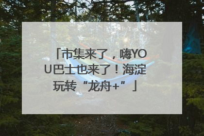 市集来了，嗨YOU巴士也来了！海淀玩转“龙舟+”