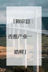 师宗县：香葱产业一路鲜