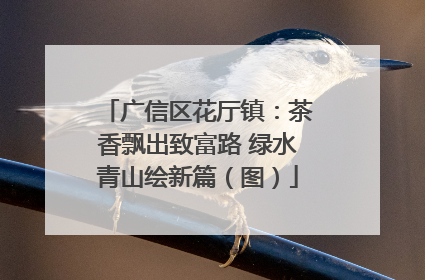 广信区花厅镇：茶香飘出致富路 绿水青山绘新篇（图）