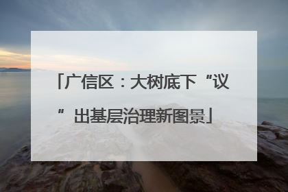 广信区：大树底下“议”出基层治理新图景